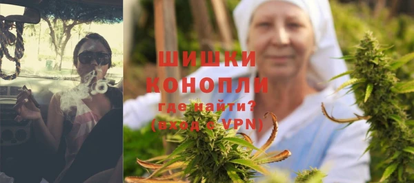 ешки Новодвинск