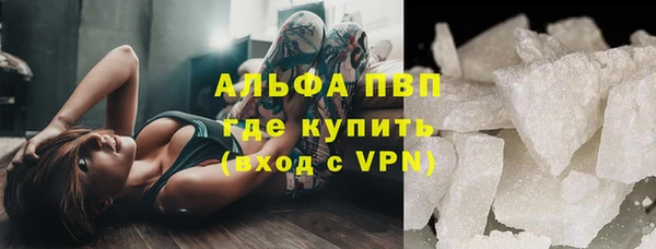 стаф Алексин