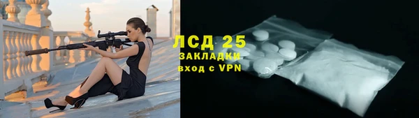 прущие грибы Абдулино