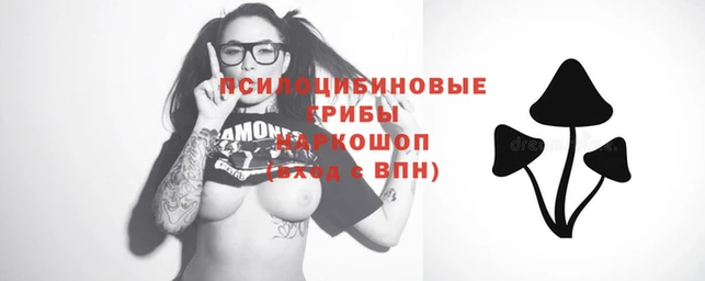 метамфетамин Новозыбков