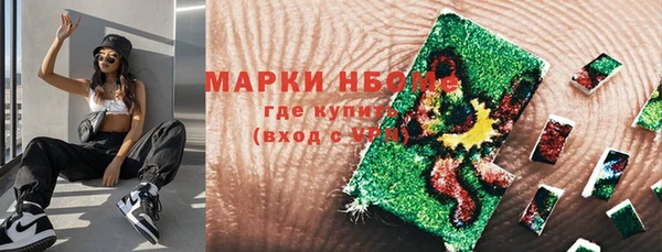 стаф Алексин